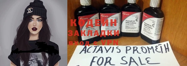 молекула духа Алзамай