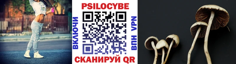 нарко площадка наркотические препараты  хочу наркоту  Волгодонск  Галлюциногенные грибы Psilocybe 